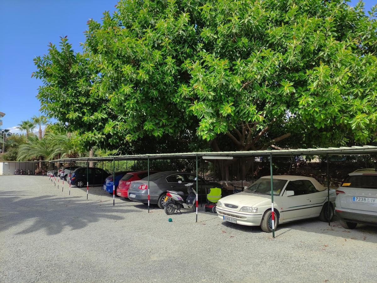 Albir Cosy Apartment El Albir Eksteriør bilde